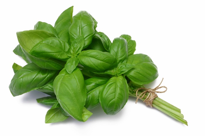 Basil-2