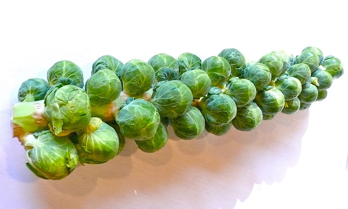 Brussels-Sprouts-3