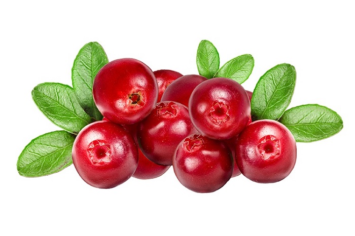 Cranberry-3