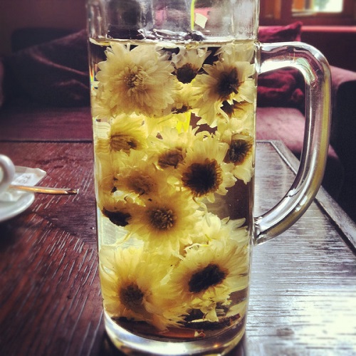  Image Source http://floraorganica.com.au/blogs/news/6053178-the-beauty-benefits-of-chinese-chrysanthemum-tea 