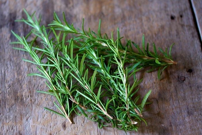 Photo Credit http://tcpermaculture.com/site/2013/12/16/permaculture-plants-rosemary/
