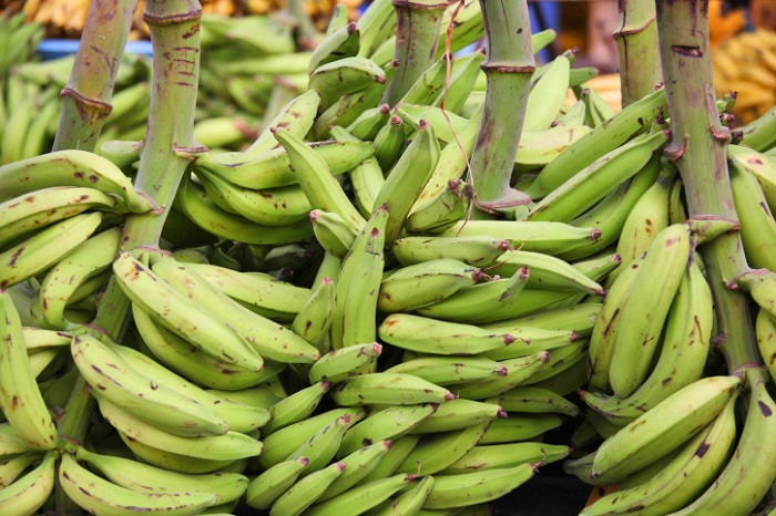 Photo Credit http://food.ndtv.com/ingredient/plantain-701208