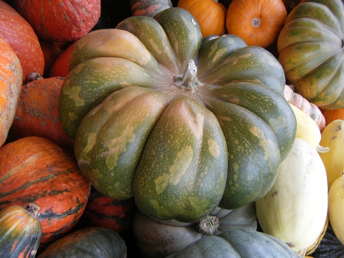 Photo Credit http://thefarmersfeast.me/2011/03/09/a-weakness-for-winter-squash/