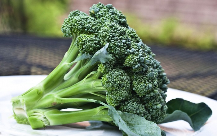 Photo Credit http://modernfarmer.com/2014/10/treatment-autism-found-broccoli/
