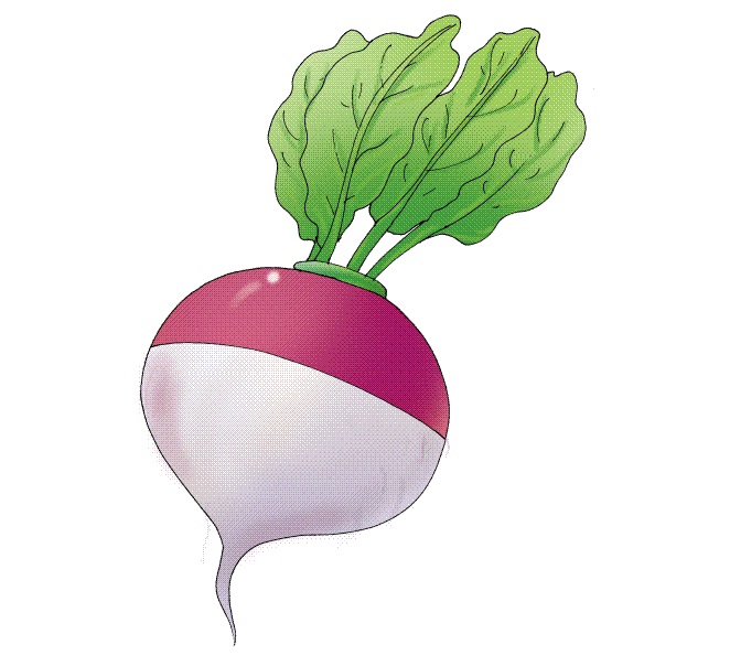 turnip-greens-3